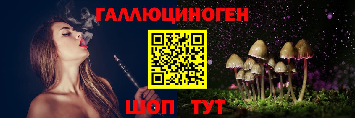 Кирово-Чепецк  Псилоцибиновые грибы GOLDEN TEACHER  Вход с VPN 